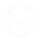 Blåa Skor